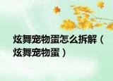 炫舞宠物蛋怎么拆解（炫舞宠物蛋）