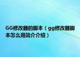 GG修改器的脚本（gg修改器脚本怎么用简介介绍）