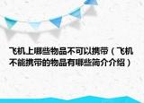 飞机上哪些物品不可以携带（飞机不能携带的物品有哪些简介介绍）
