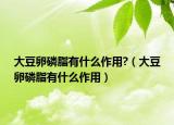 大豆卵磷脂有什么作用?（大豆卵磷脂有什么作用）