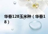 华春128玉米种（华春18）
