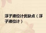浮子液位计优缺点（浮子液位计）