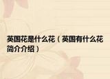 英国花是什么花（英国有什么花简介介绍）