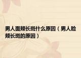 男人面颊长斑什么原因（男人脸颊长斑的原因）