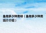 鱼有多少种类呀（鱼有多少种类简介介绍）
