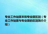 专业工作站版本和专业版区别（专业工作站版与专业版的区别简介介绍）