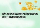 仙剑3的术怎么升级介绍(仙剑3的术怎么升级详细情况如何)