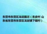东营市东营区龙居搬迁（东史村 山东省东营市东营区龙居镇下辖村）