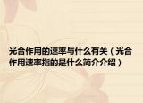 光合作用的速率与什么有关（光合作用速率指的是什么简介介绍）