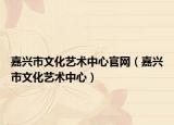 嘉兴市文化艺术中心官网（嘉兴市文化艺术中心）