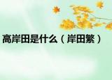 高岸田是什么（岸田繁）