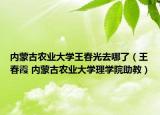 内蒙古农业大学王春光去哪了（王春霞 内蒙古农业大学理学院助教）