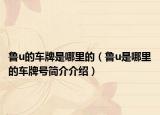 鲁u的车牌是哪里的（鲁u是哪里的车牌号简介介绍）