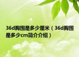 36d胸围是多少厘米（36d胸围是多少cm简介介绍）