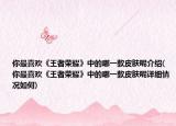 你最喜欢《王者荣耀》中的哪一款皮肤呢介绍(你最喜欢《王者荣耀》中的哪一款皮肤呢详细情况如何)