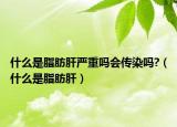 什么是脂肪肝严重吗会传染吗?（什么是脂肪肝）