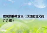 玫瑰的特殊含义（玫瑰的含义简介介绍）