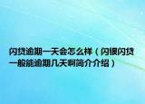 闪贷逾期一天会怎么样（闪银闪贷一般能逾期几天啊简介介绍）