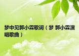 梦中见郭小霖歌词（梦 郭小霖演唱歌曲）