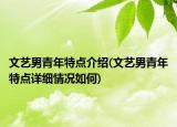 文艺男青年特点介绍(文艺男青年特点详细情况如何)
