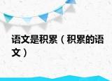 语文是积累（积累的语文）