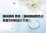 猫咪眼睛 颜色（猫咪眼睛颜色分类是怎样的简介介绍）
