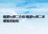 暗渡by郑二介绍(暗渡by郑二详细情况如何)