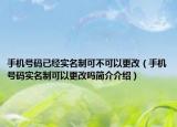 手机号码已经实名制可不可以更改（手机号码实名制可以更改吗简介介绍）