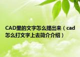CAD里的文字怎么提出来（cad怎么打文字上去简介介绍）