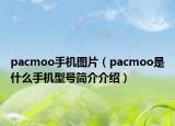 pacmoo手机图片（pacmoo是什么手机型号简介介绍）