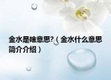 金水是啥意思?（金水什么意思简介介绍）