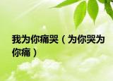 我为你痛哭（为你哭为你痛）