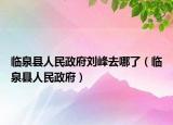 临泉县人民政府刘峰去哪了（临泉县人民政府）