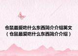 仓鼠最爱吃什么东西简介介绍英文（仓鼠最爱吃什么东西简介介绍）