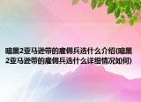 暗黑2亚马逊带的雇佣兵选什么介绍(暗黑2亚马逊带的雇佣兵选什么详细情况如何)