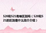 520和521有啥区别吗（520和521的区别是什么简介介绍）