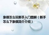 象棋怎么玩新手入门图解（新手怎么下象棋简介介绍）