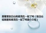 原著里张日山和梁湾在一起了吗（张日山结局是和梁湾在一起了吗简介介绍）