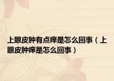 上眼皮肿有点痒是怎么回事（上眼皮肿痒是怎么回事）