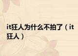 it狂人为什么不拍了（it狂人）