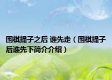 围棋提子之后 谁先走（围棋提子后谁先下简介介绍）