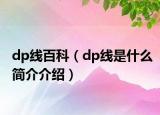 dp线百科（dp线是什么简介介绍）