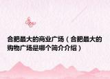 合肥最大的商业广场（合肥最大的购物广场是哪个简介介绍）