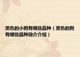 黑色的小狗有哪些品种（黑色的狗有哪些品种简介介绍）