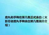 鹿丸和手鞠在第几集正式表白（火影忍者鹿丸手鞠表白第几集简介介绍）
