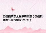 微信投票怎么程序刷投票（微信投票怎么刷投票简介介绍）