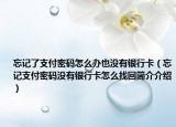 忘记了支付密码怎么办也没有银行卡（忘记支付密码没有银行卡怎么找回简介介绍）