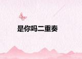 是你吗二重奏