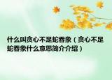 什么叫贪心不足蛇吞象（贪心不足蛇吞象什么意思简介介绍）