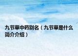九节草中药别名（九节草是什么简介介绍）